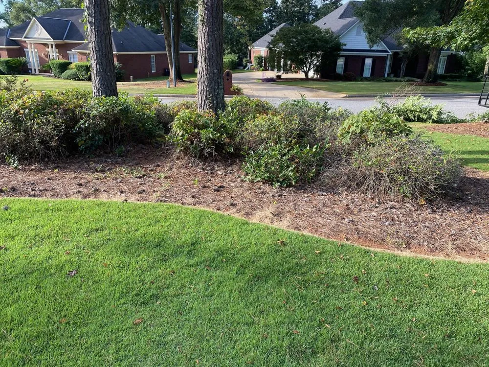 Reliable yard cleanup service in Phenix City, AL - Clean Cut Lawn Care