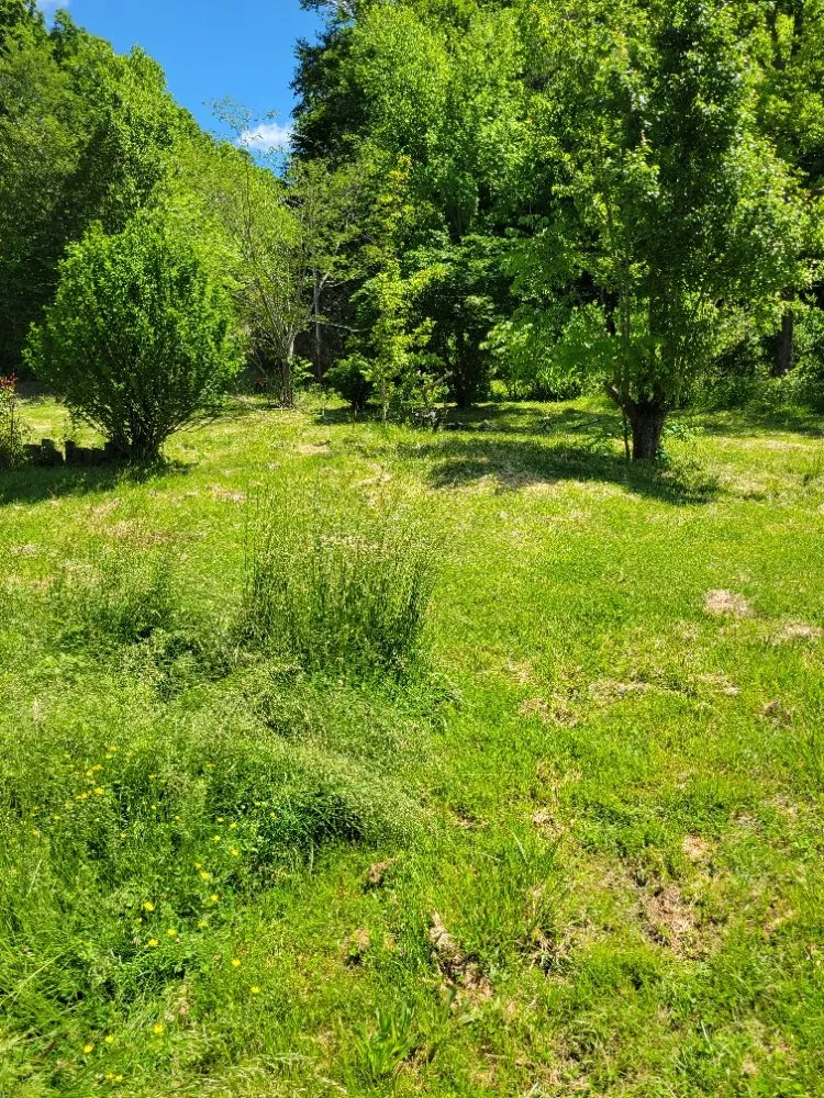 Top-rated lawn mowing service near you in Clay City, KY by Clean Cut Lawn Care Services