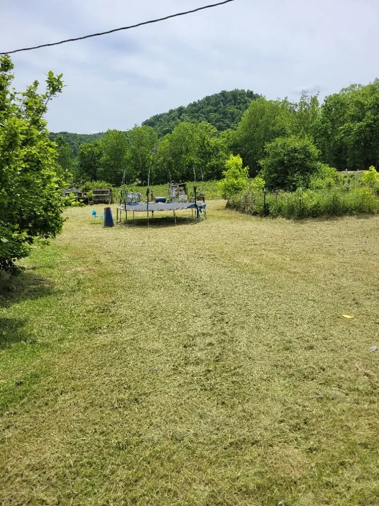 Reliable lawn mowing service experts serving Clay City, KY - Clean Cut Lawn Care Services