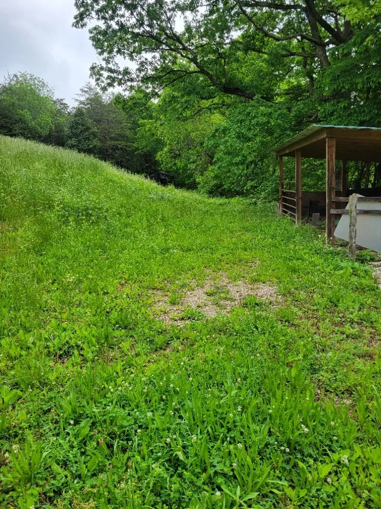 Professional outdoor landscaping near you across Clay City, KY - Clean Cut Lawn Care Services