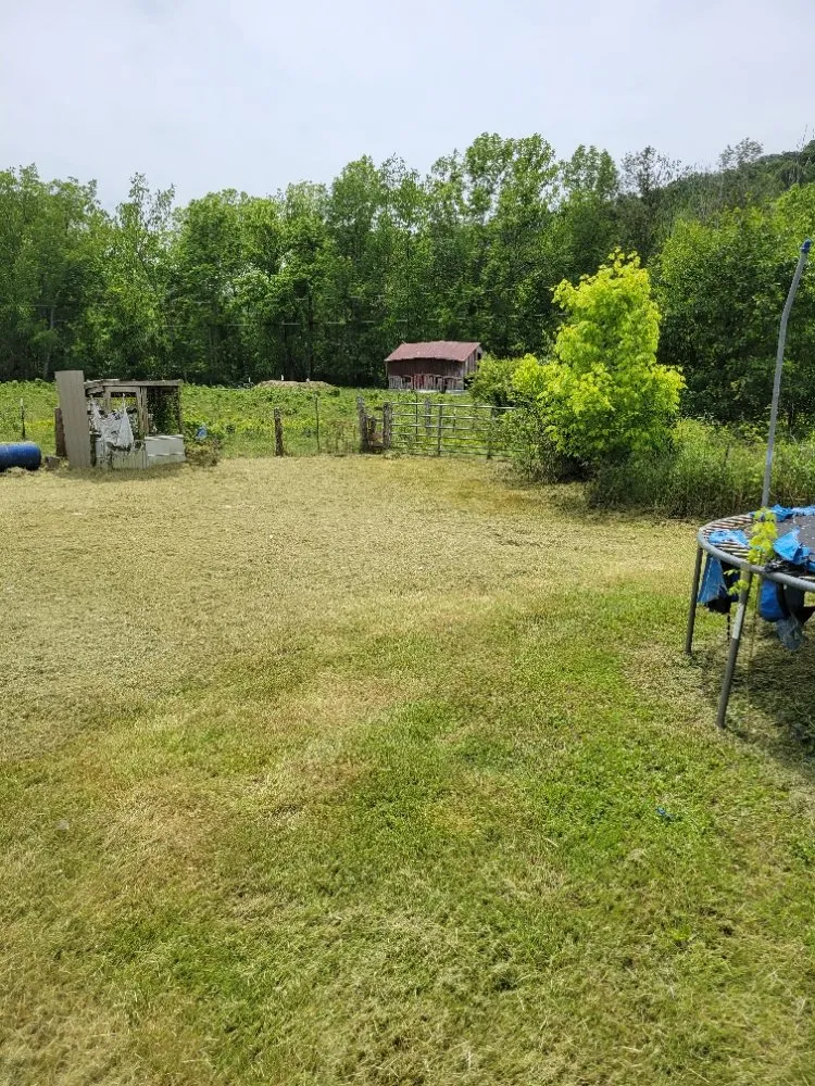 Trusted outdoor landscaping experts serving Clay City, KY - Clean Cut Lawn Care Services