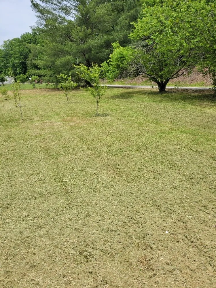 Professional yard cleanup service in Clay City, KY by Clean Cut Lawn Care Services