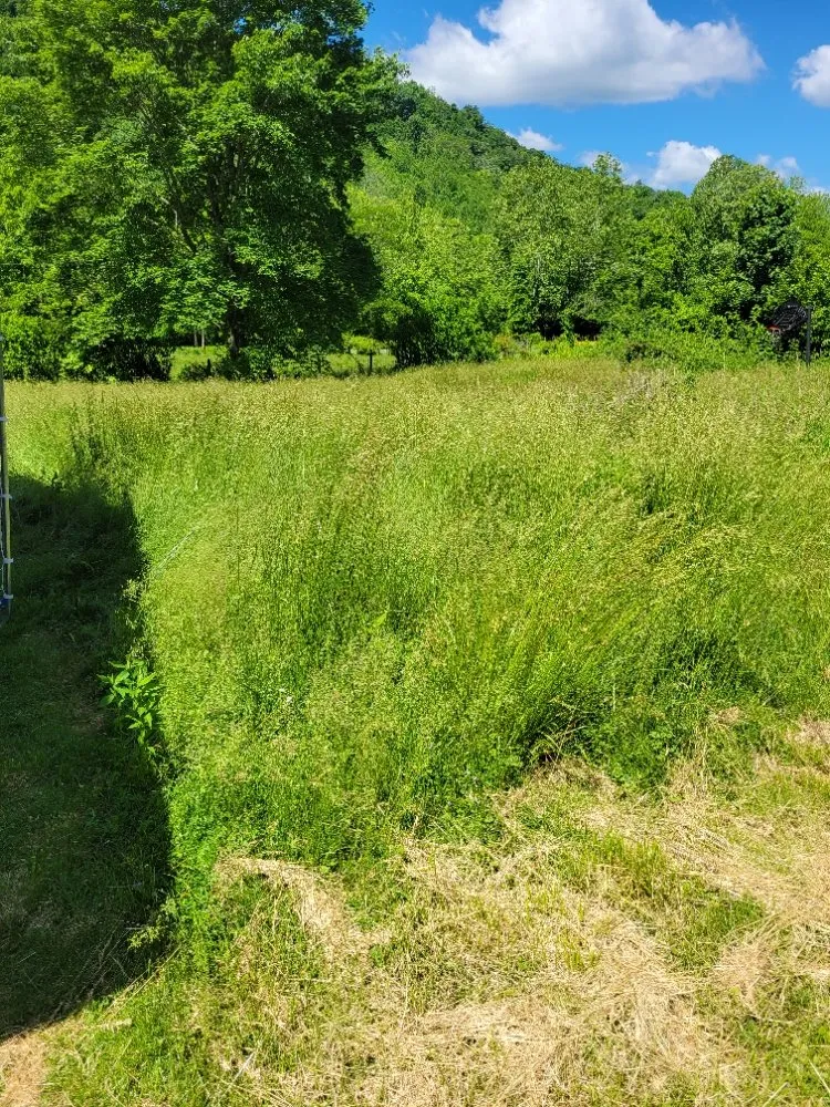 Trusted lawn care service in Clay City, KY - Clean Cut Lawn Care Services