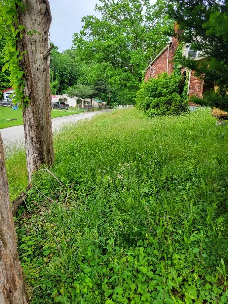 Expert outdoor landscaping in Clay City, KY by Clean Cut Lawn Care Services