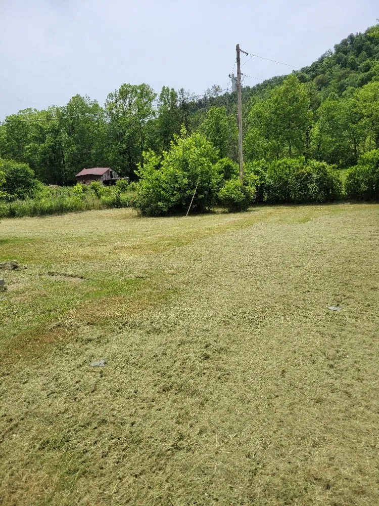 Affordable landscaping services experts serving Clay City, KY - Clean Cut Lawn Care Services