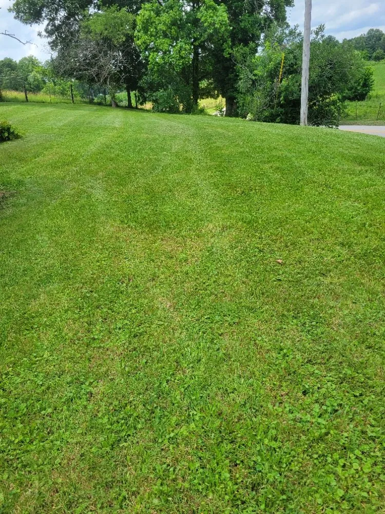 Expert residential landscaping experts serving Clay City, KY - Clean Cut Lawn Care Services