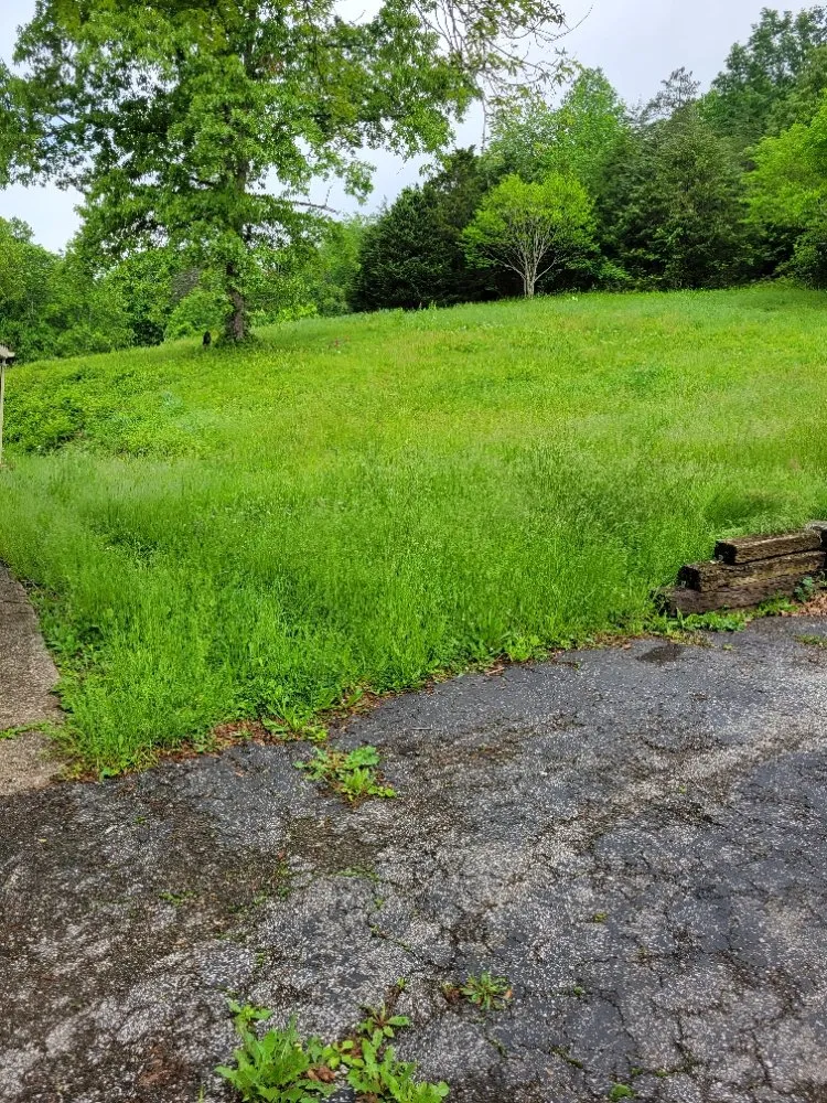 Trusted outdoor landscaping for residential properties across Clay City, KY - Clean Cut Lawn Care Services