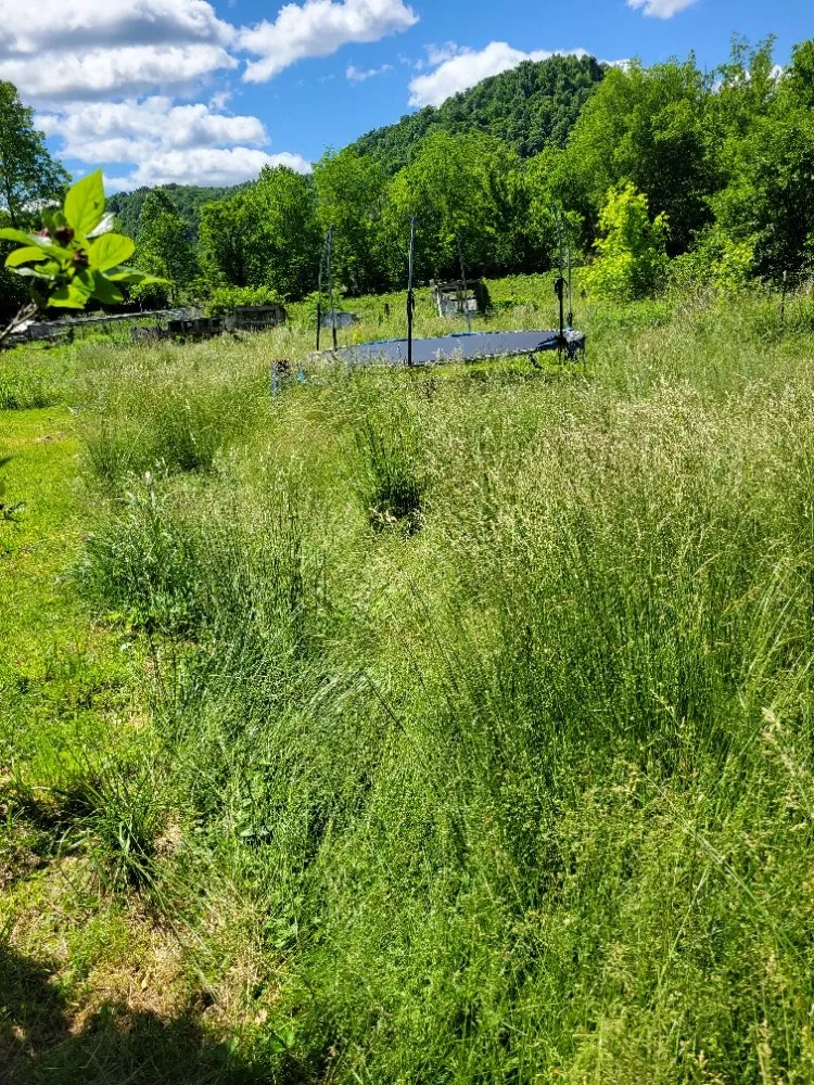 Custom residential landscaping in Clay City, KY by Clean Cut Lawn Care Services