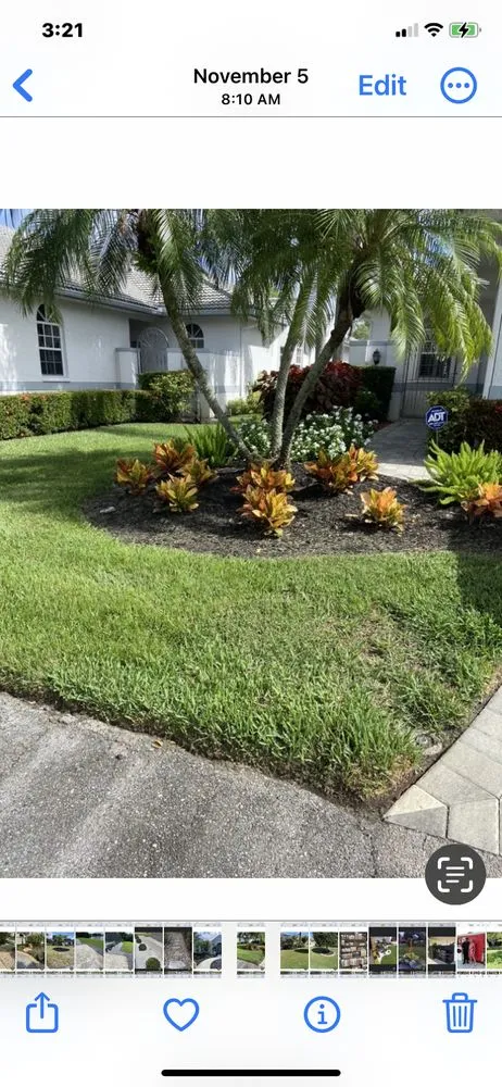 Top-rated outdoor landscaping in Sarasota, FL by Clean Cut Lawn Care SRQ