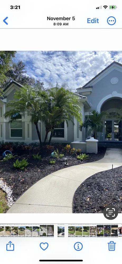 Professional yard cleanup service in Sarasota, FL by Clean Cut Lawn Care SRQ