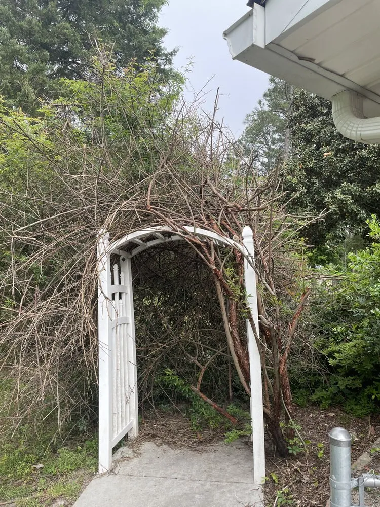 Affordable outdoor landscaping for beautiful yards across Camden, SC - Clean Cut Lawn Maintenance And Services