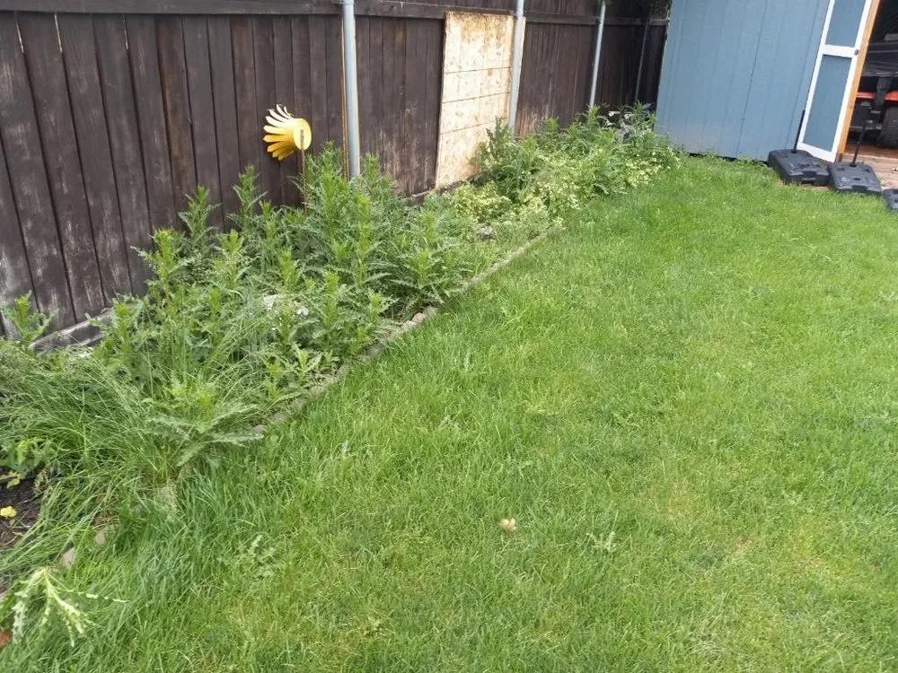 Top-rated landscape installation experts serving Boise, ID - Clean Cut Lawn Maintenance