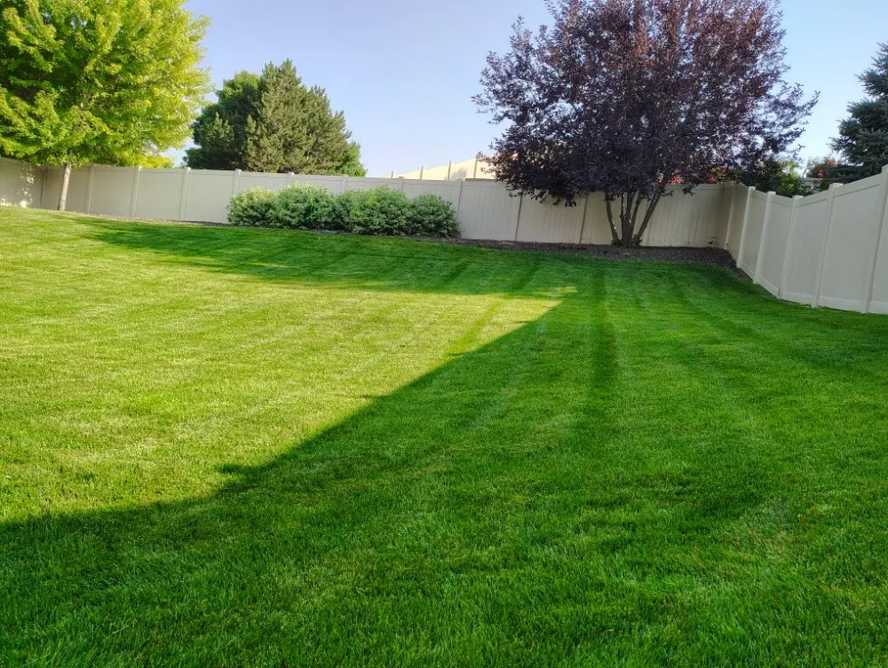 Trusted yard cleanup service in Boise, ID - Clean Cut Lawn Maintenance