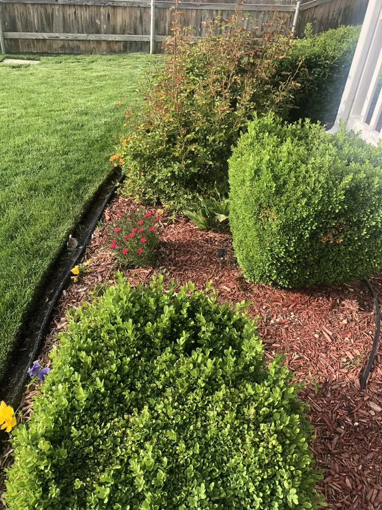 Affordable yard cleanup service experts serving Boise, ID - Clean Cut Lawn Maintenance