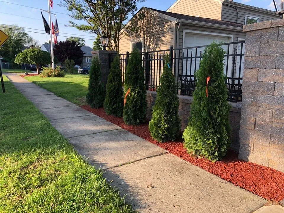 Local residential landscaping experts serving Satsuma, FL - Clean Cut Lawn Pros
