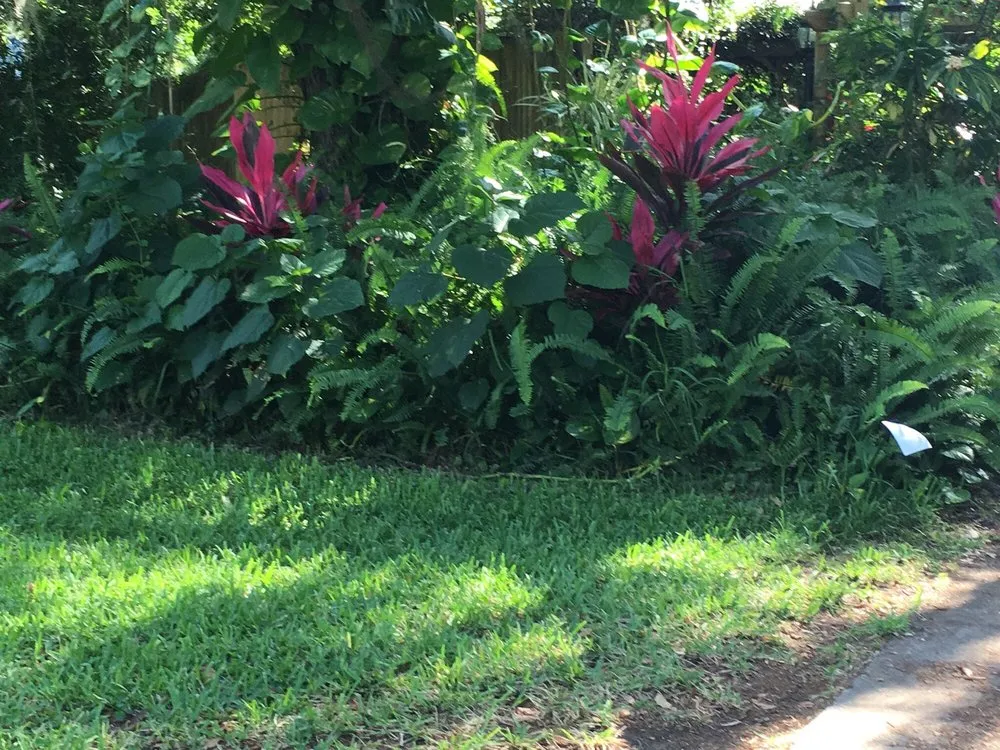 Trusted yard cleanup service for homes in Satsuma, FL by Clean Cut Lawn Pros