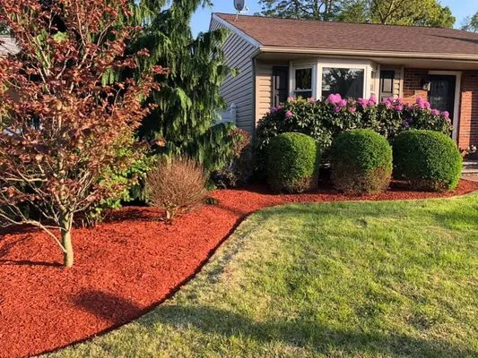 Clean Cut Lawn Pros