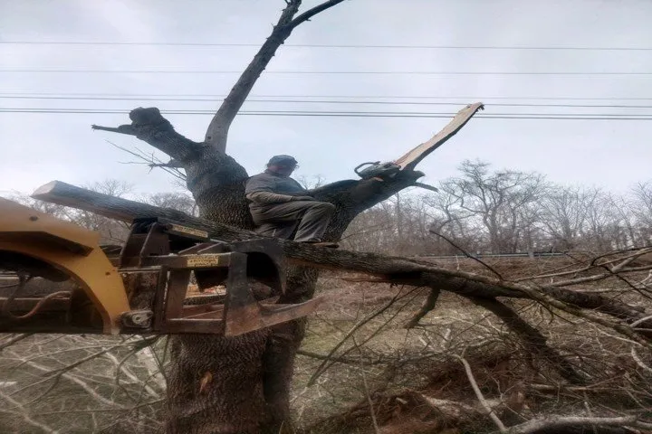 Trusted landscape installation with custom design across Clarksville, TN - Clean Cut Lawn Service