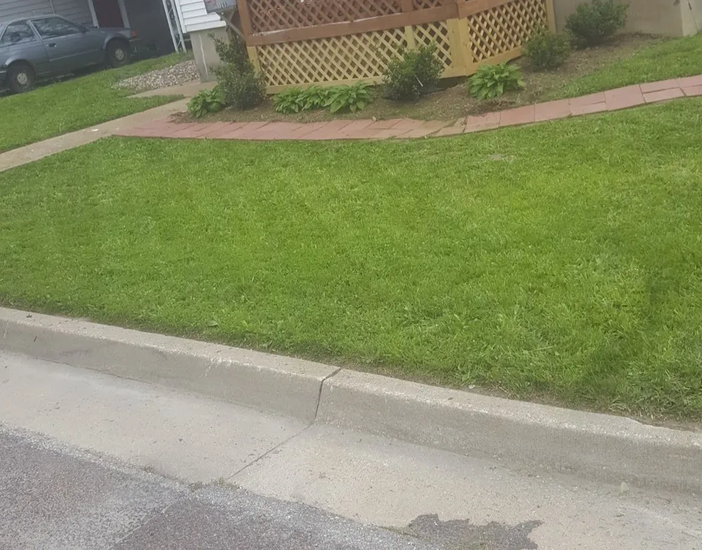 Expert outdoor landscaping in Columbia, MO - Clean Cut Lawn Service