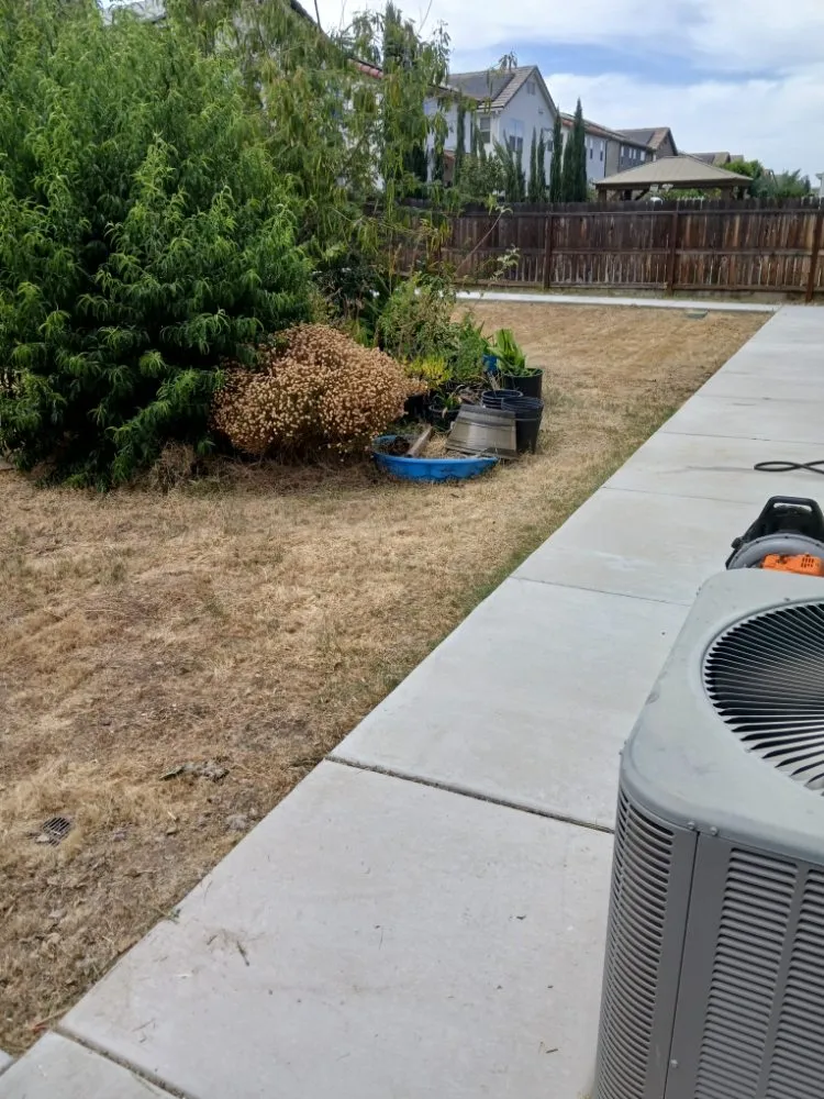 Top-rated outdoor landscaping in Fresno, CA by Clean Cut Lawn Service