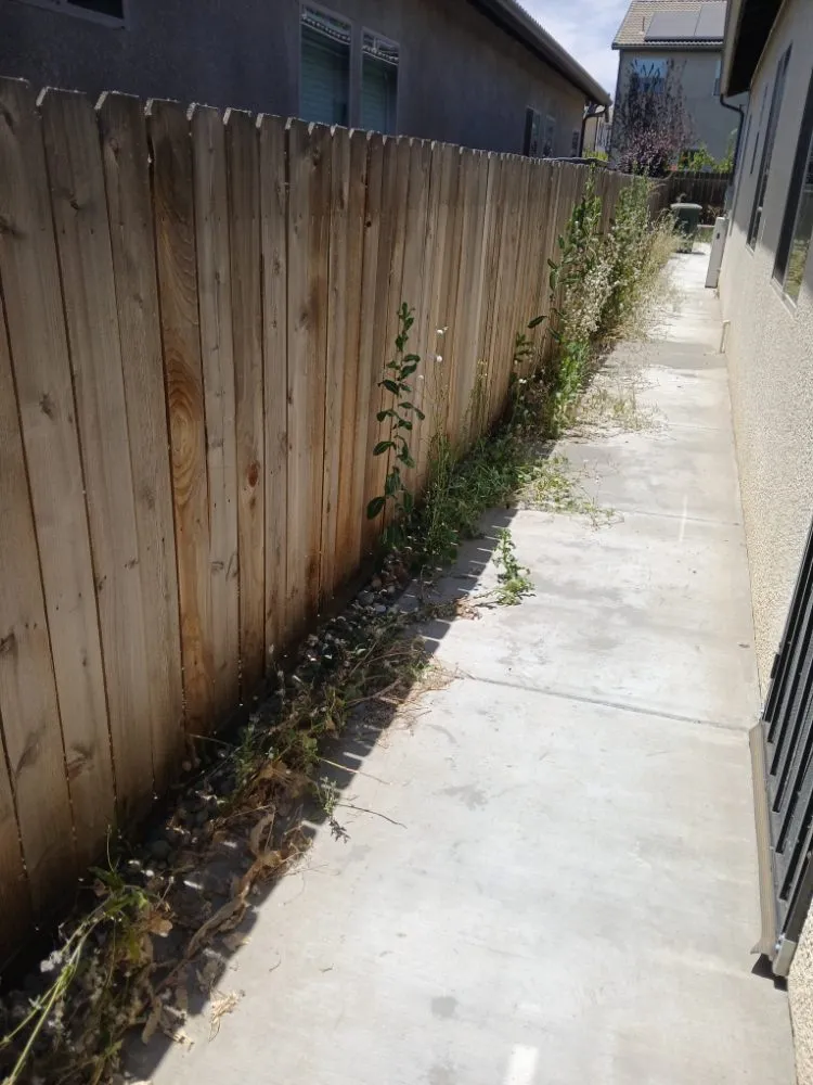 Local outdoor landscaping in Fresno, CA - Clean Cut Lawn Service