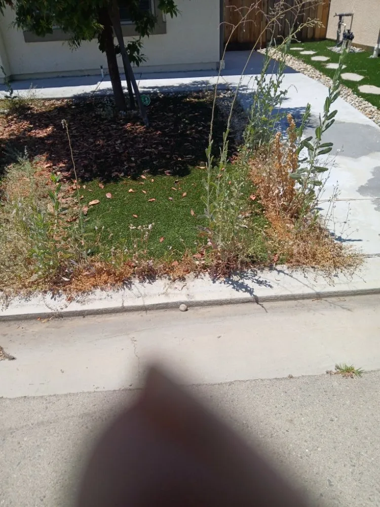 Trusted yard cleanup service with custom design across Fresno, CA - Clean Cut Lawn Service