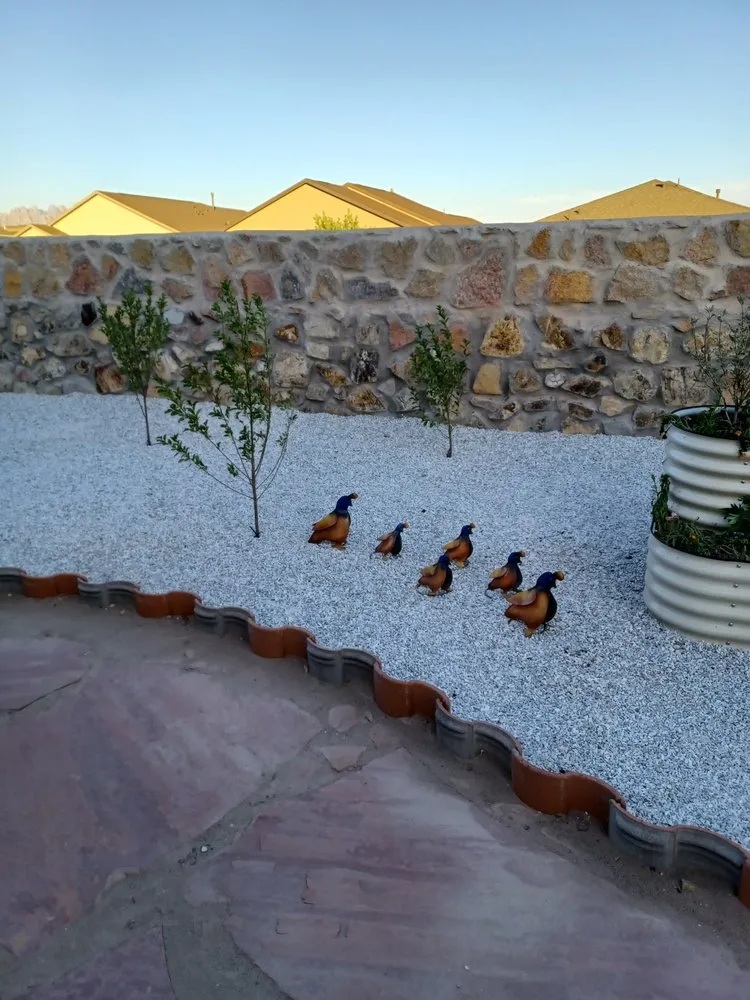 Trusted landscaping services for homes in Las Cruces, NM by Clean Cut Lawn Service