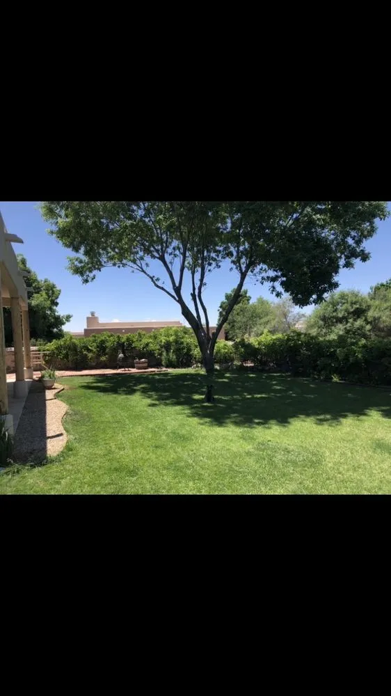 Trusted yard maintenance for year-round maintenance across Las Cruces, NM - Clean Cut Lawn Service