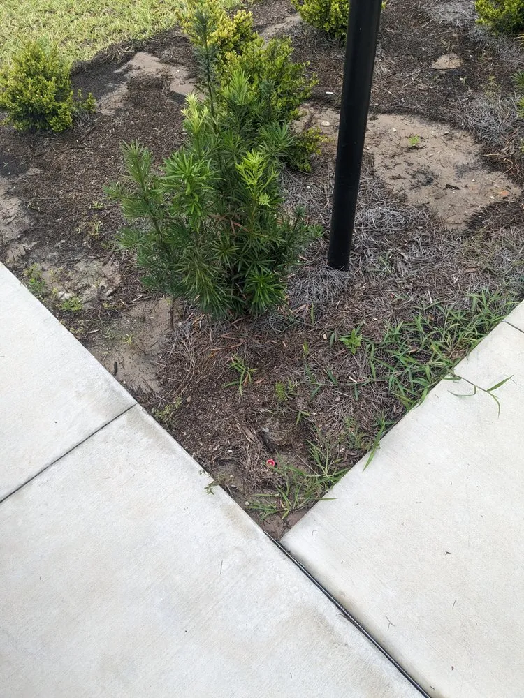 Affordable landscape design experts serving Summerfield, FL - Clean Cut Lawn Service