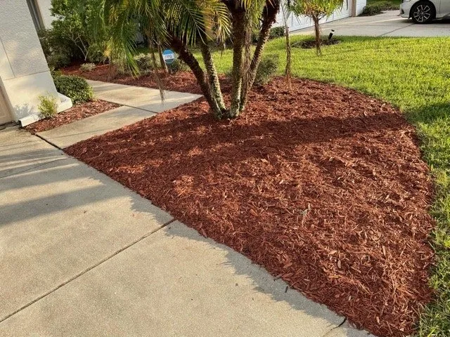 Top-rated residential landscaping for homes in Tampa, FL by Clean Cut Lawn Service