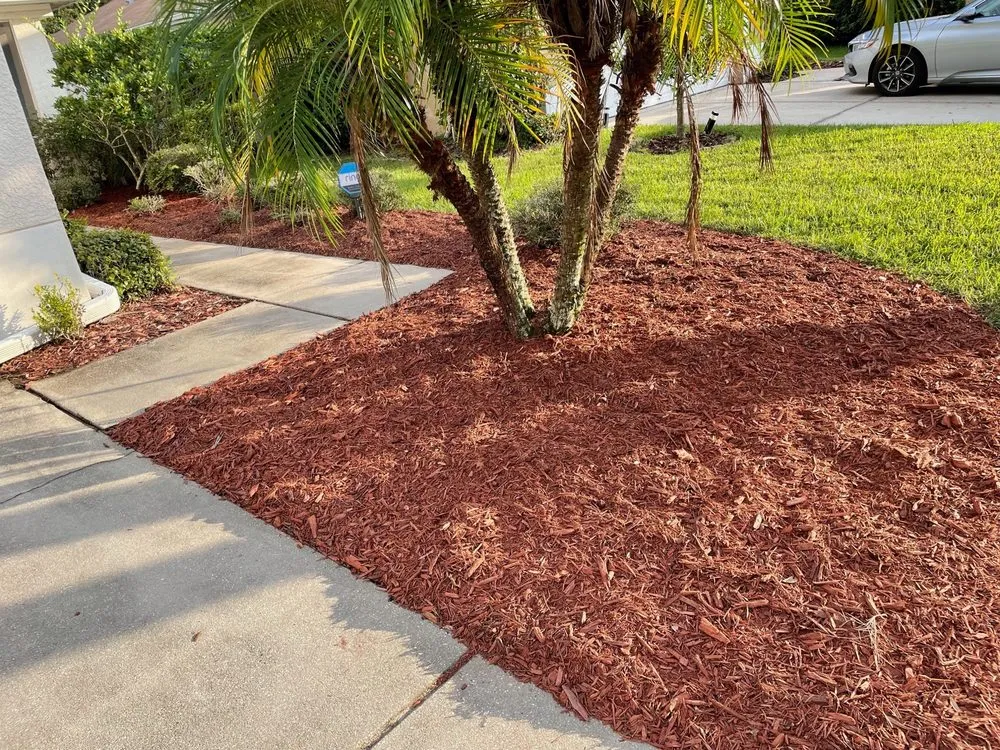 Top-rated residential landscaping for outdoor upgrades in Tampa, FL by Clean Cut Lawn Service