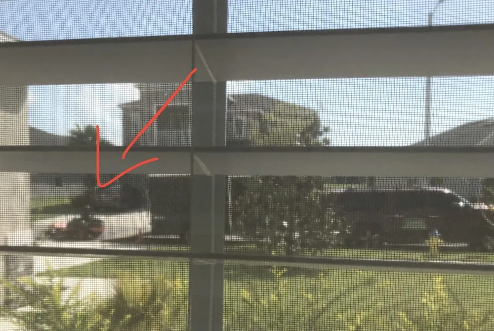 Trusted landscape installation in Tampa, FL - Clean Cut Lawn Service