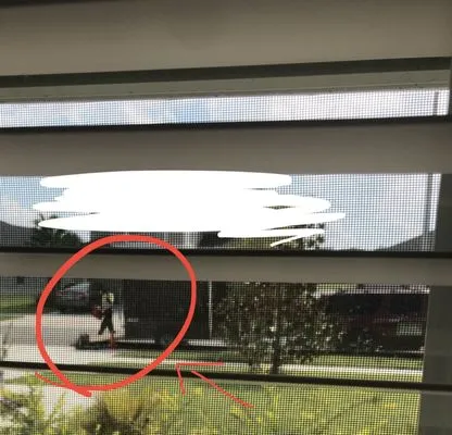 Clean Cut Lawn Service Logo