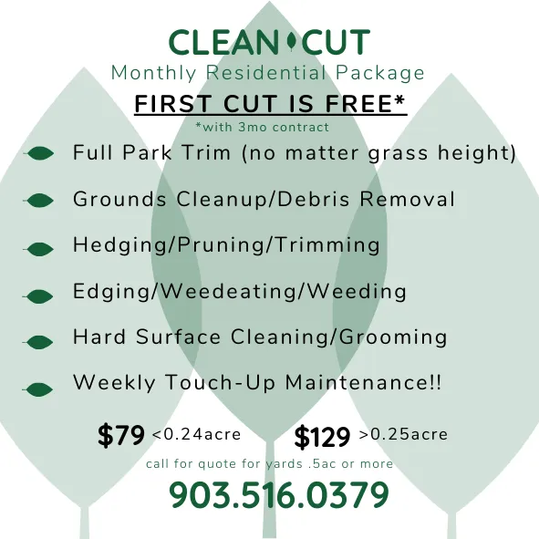 Affordable landscape design in Frankston, TX by Clean Cut Lawn Services and More