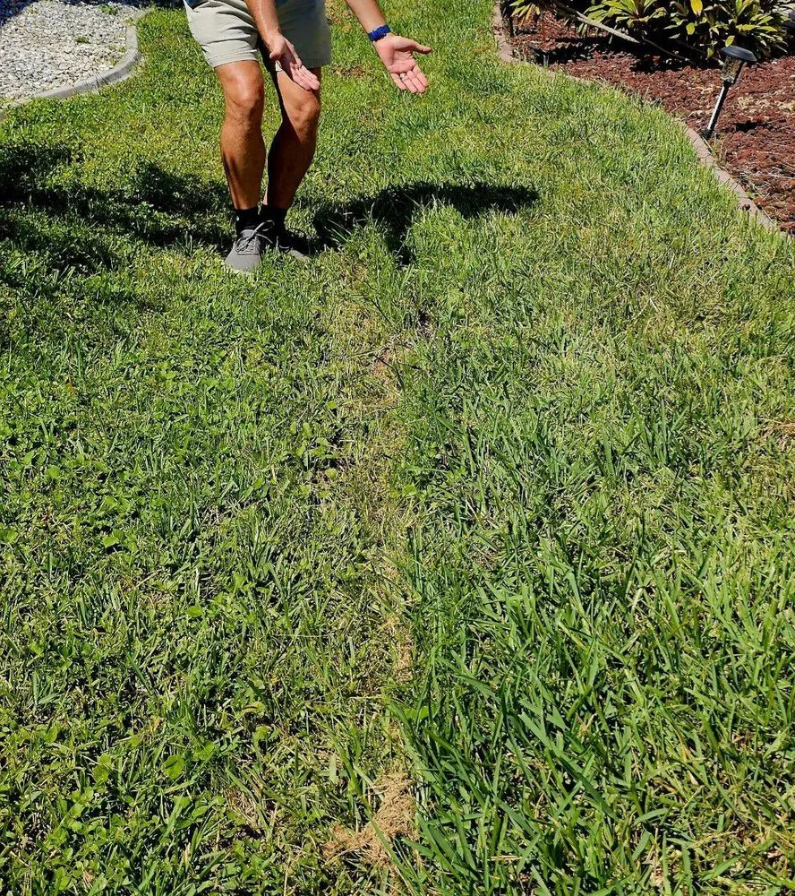 Affordable lawn mowing service experts serving Cape Coral, FL - Clean Cut Lawn Services