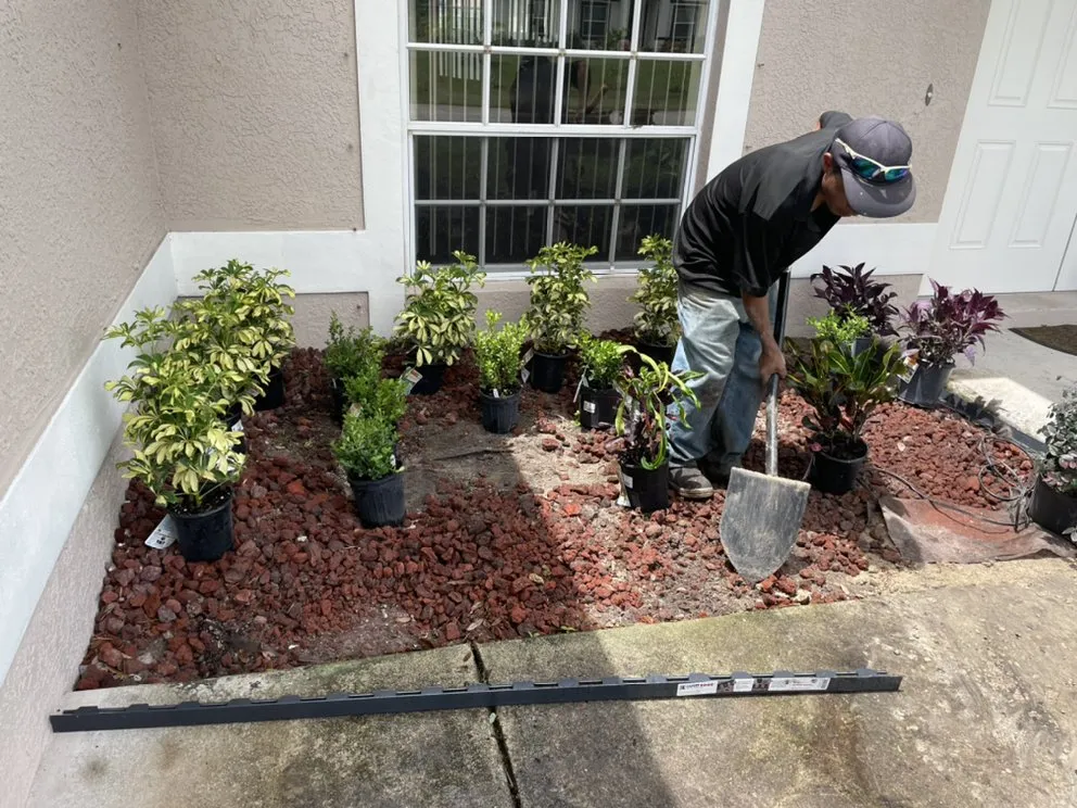 Top-rated landscaping services in Cape Coral, FL - Clean Cut Lawn Services