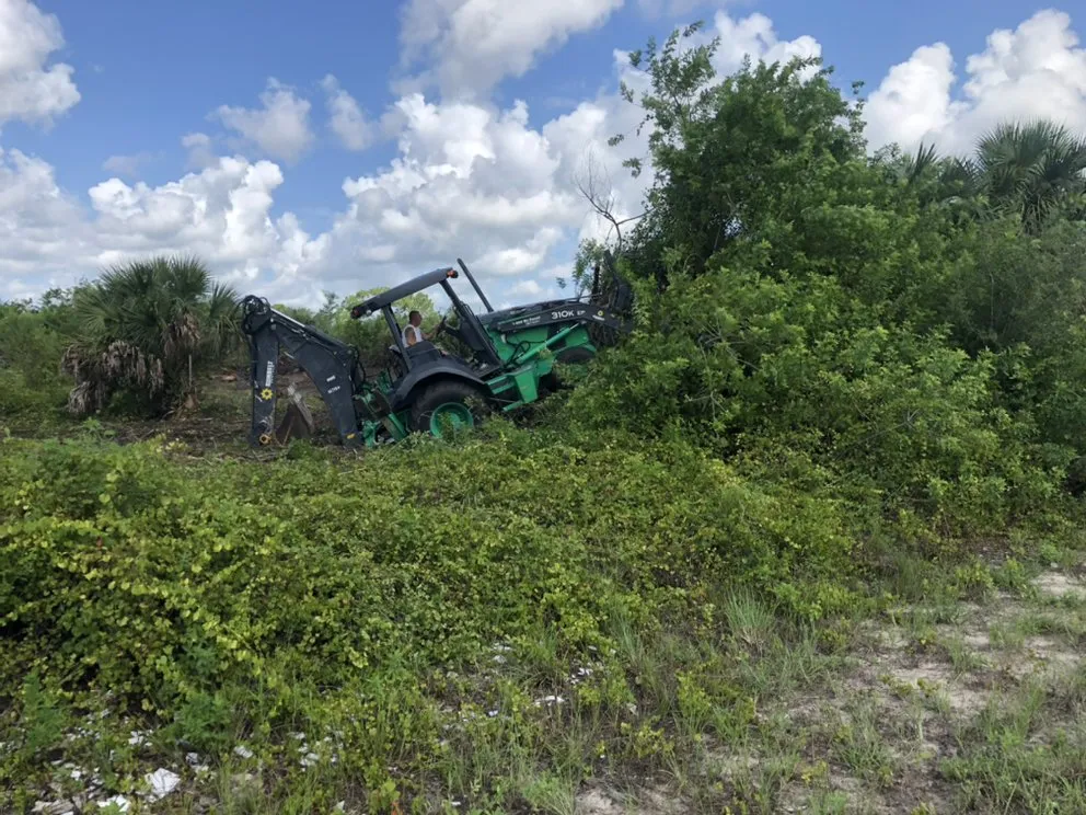 Expert landscaping services experts serving Cape Coral, FL - Clean Cut Lawn Services