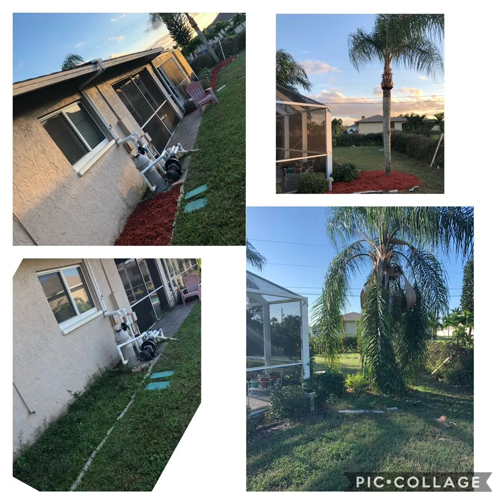 Expert lawn care service experts serving Cape Coral, FL - Clean Cut Lawn Services