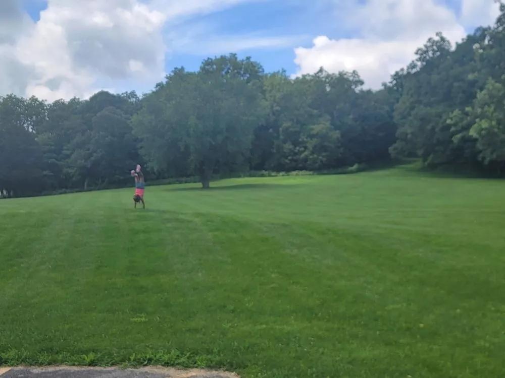 Expert outdoor landscaping experts serving Elgin, IL - Clean Cut Lawn Services