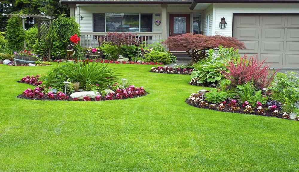 Affordable lawn mowing service in The Woodlands, TX - Clean Cut Lawn