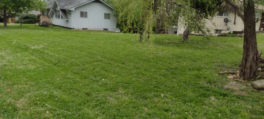 Affordable lawn mowing service in Kansas City, KS - Clean Cut Lawncare & Maintenance