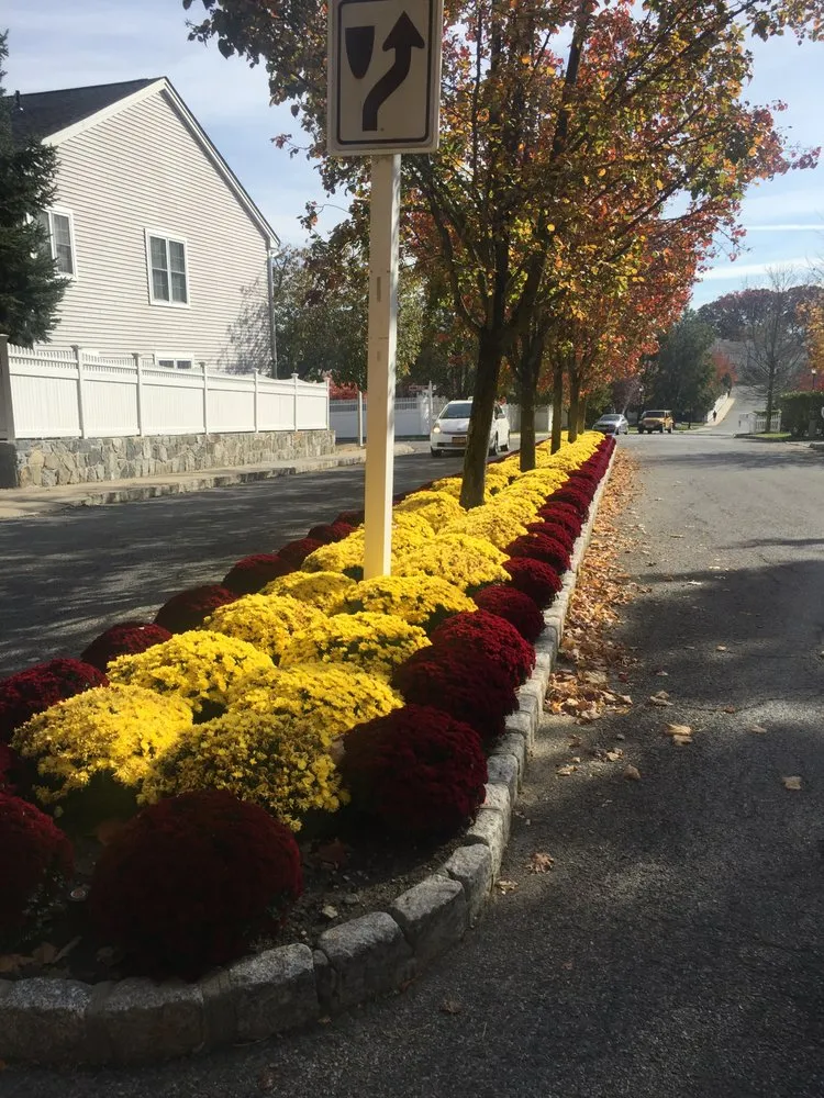 Local yard cleanup service experts serving Ossining, NY - Clean Cut Lawns & Landscapes