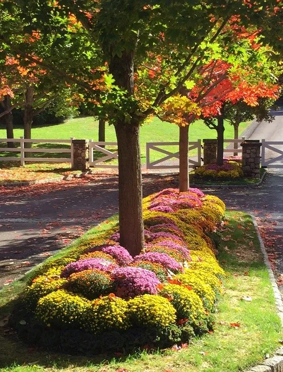 Expert garden landscaping experts serving Ossining, NY - Clean Cut Lawns & Landscapes