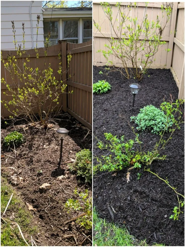 Expert lawn care service for homes in Oswego, NY by Clean Cut Lawns & Snowplowing