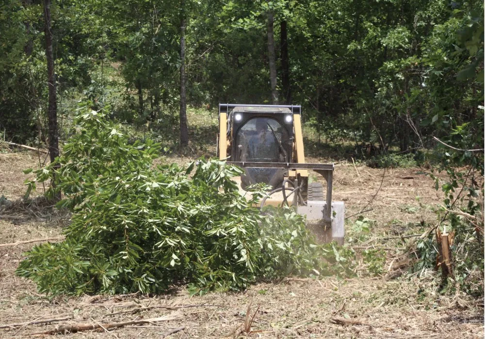 Trusted residential landscaping in Carrollton, GA by Clean Cut Lawns And Landscaping