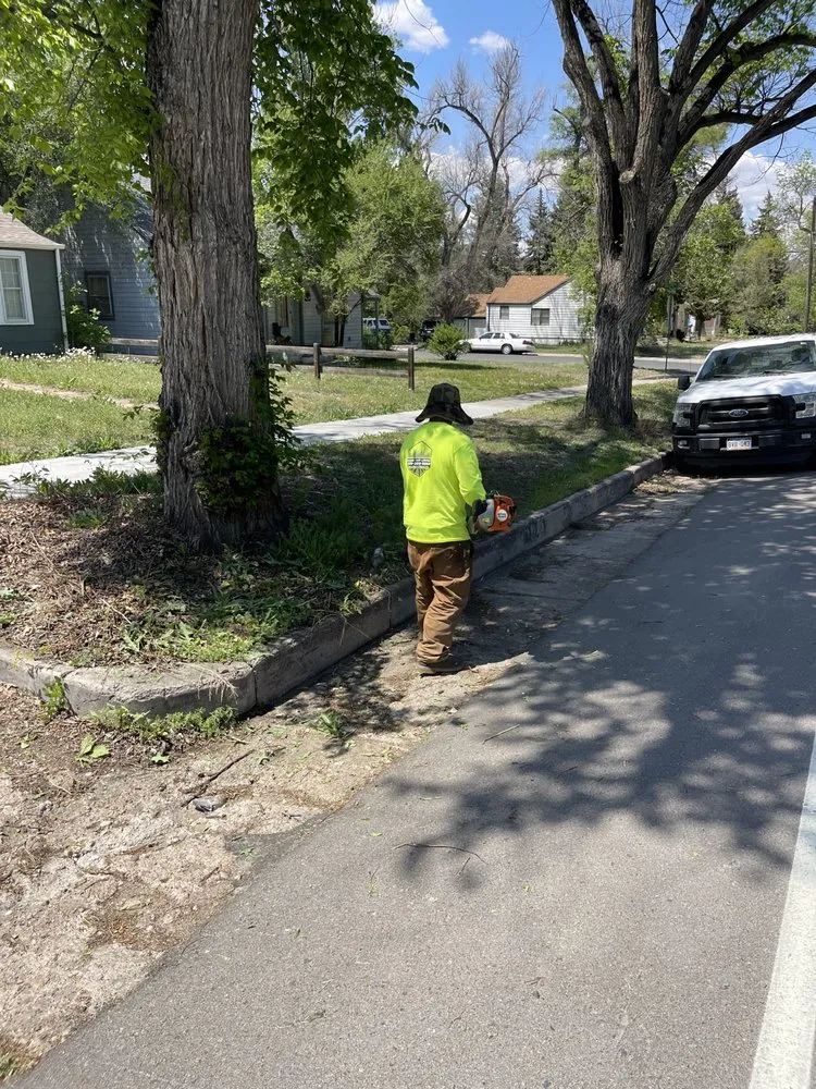 Top-rated yard cleanup service in Greeley, CO - Clean Cut Lawns
