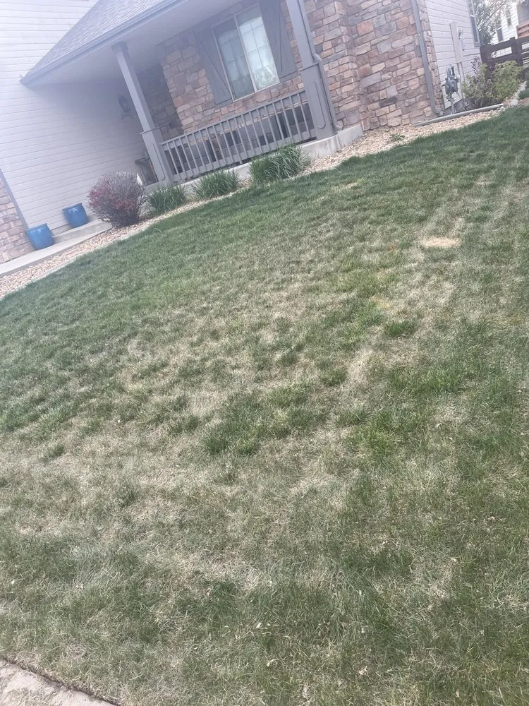 Affordable lawn care service for year-round maintenance across Greeley, CO - Clean Cut Lawns