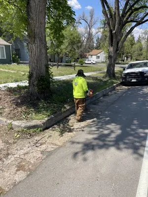 Clean Cut Lawns Logo