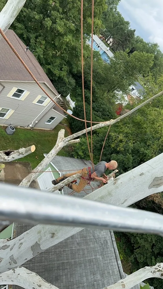 Trusted landscape design experts serving North Canton, OH - Clean Cut Lawns Landscape & Tree Work