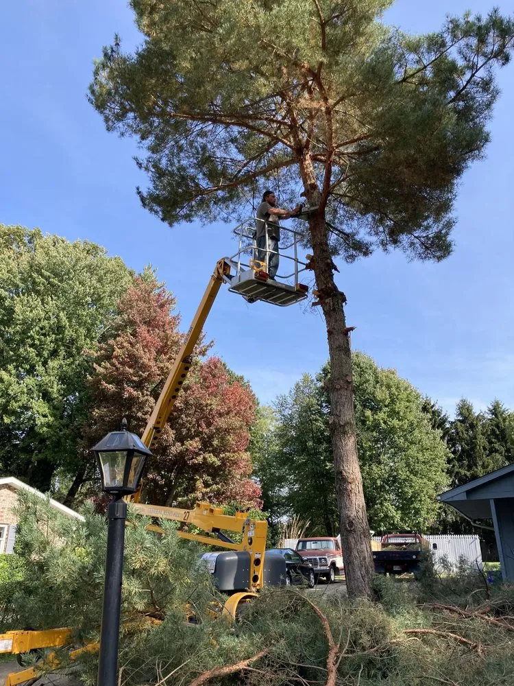 Professional landscaping services for beautiful yards across North Canton, OH - Clean Cut Lawns Landscape & Tree Work